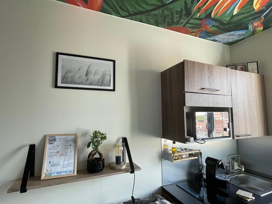 Apartment St Bruno - Studio tropiques  *